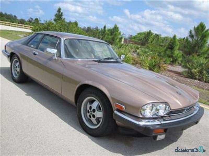 1983' Jaguar XJS photo #1