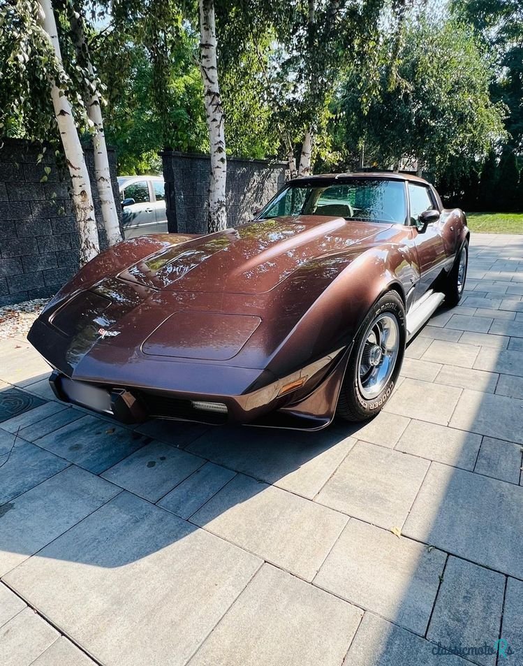 1979' Chevrolet Corvette photo #4