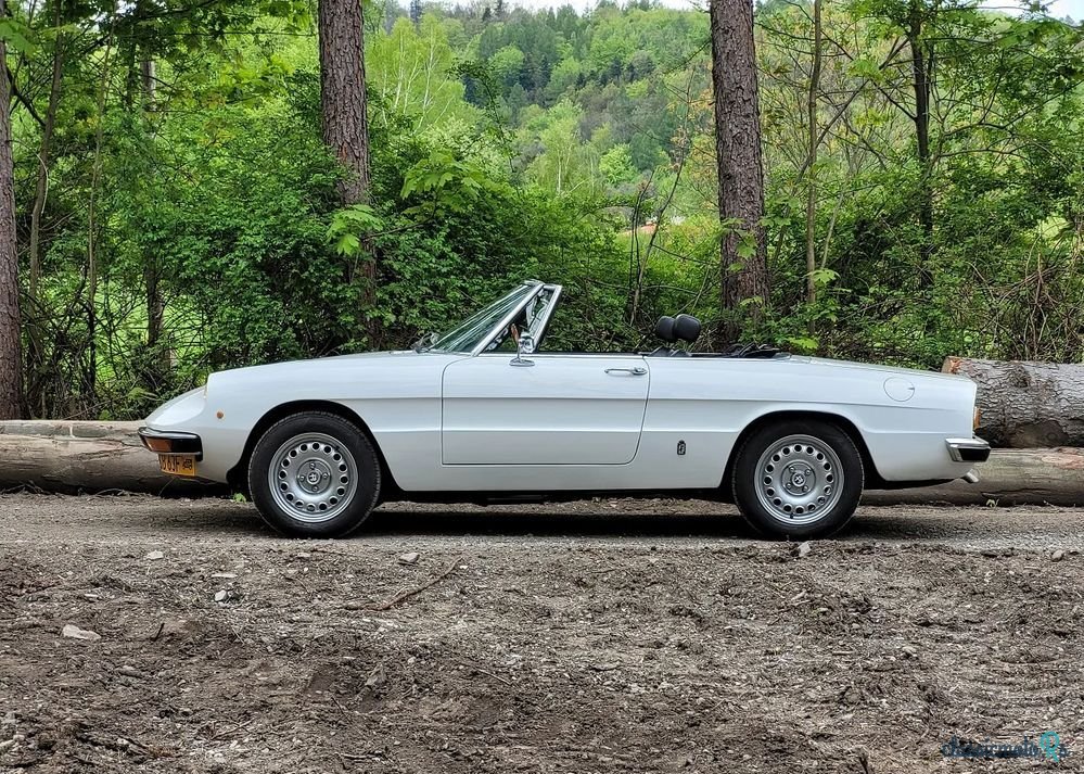 1978' Alfa Romeo Spider photo #2