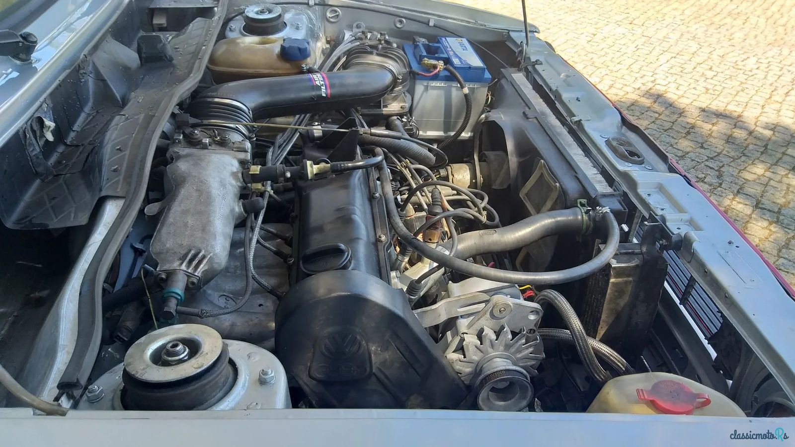 1979' Volkswagen Golf photo #6