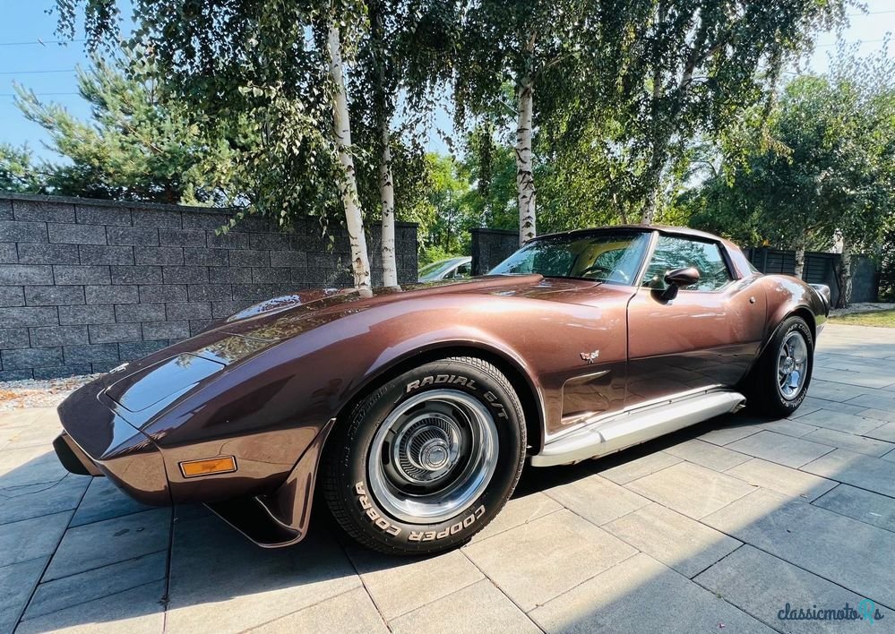 1979' Chevrolet Corvette photo #3