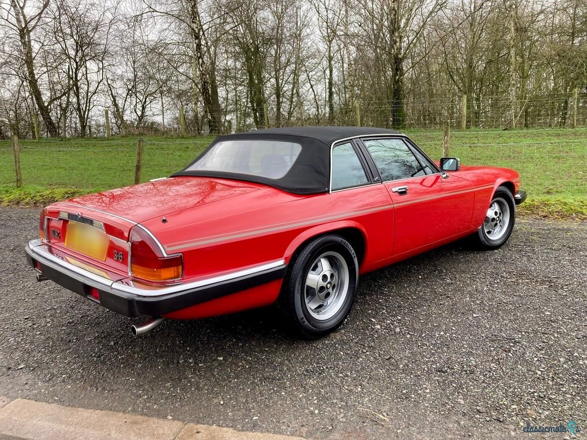 1986' Jaguar XJS photo #5