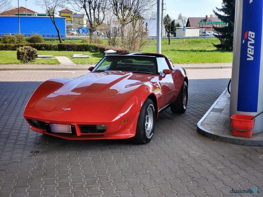 1979' Chevrolet Corvette photo #1