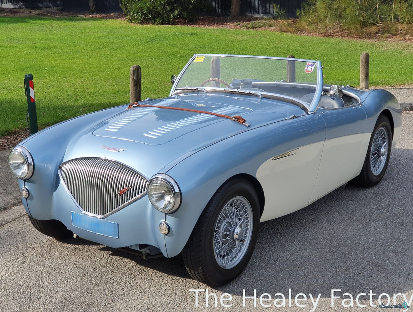 1956' Austin-Healey 100M photo #2
