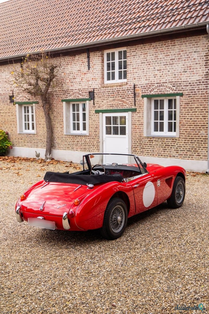 1967' Austin-Healey 3000 photo #5