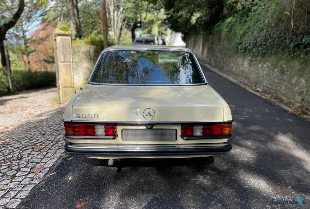 1977' Mercedes-Benz 300 photo #6