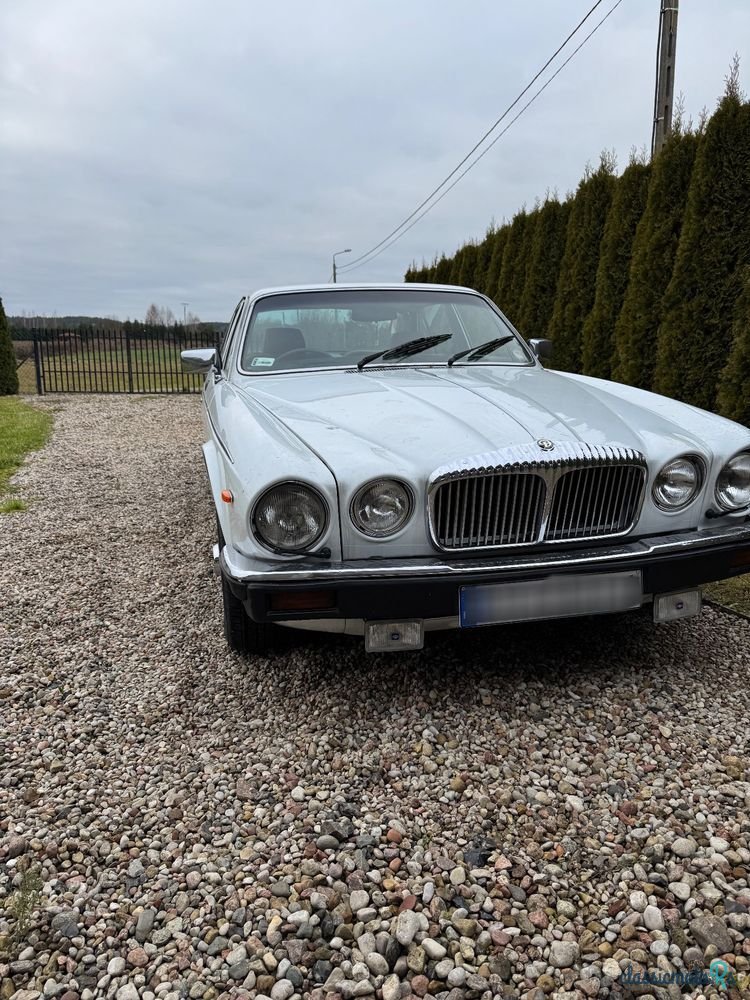 1980' Jaguar Daimler photo #3