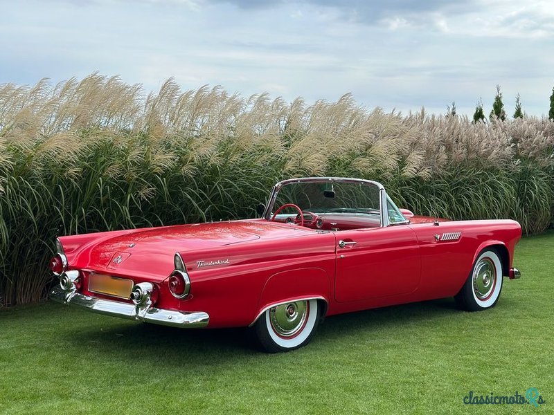 1955' Ford Thunderbird photo #2