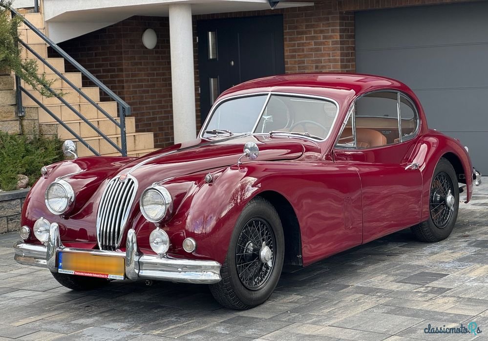 1955' Jaguar XK photo #1