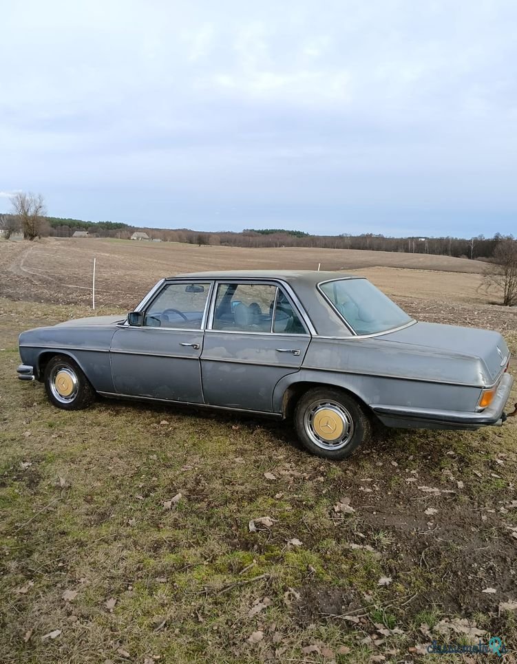 1975' Mercedes-Benz W115 photo #1