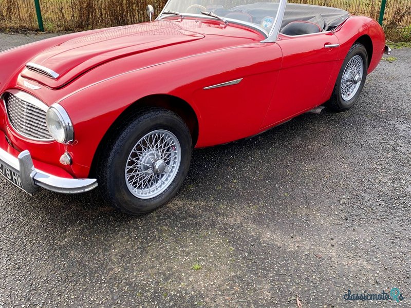 1957' Austin-Healey 100-6 photo #3