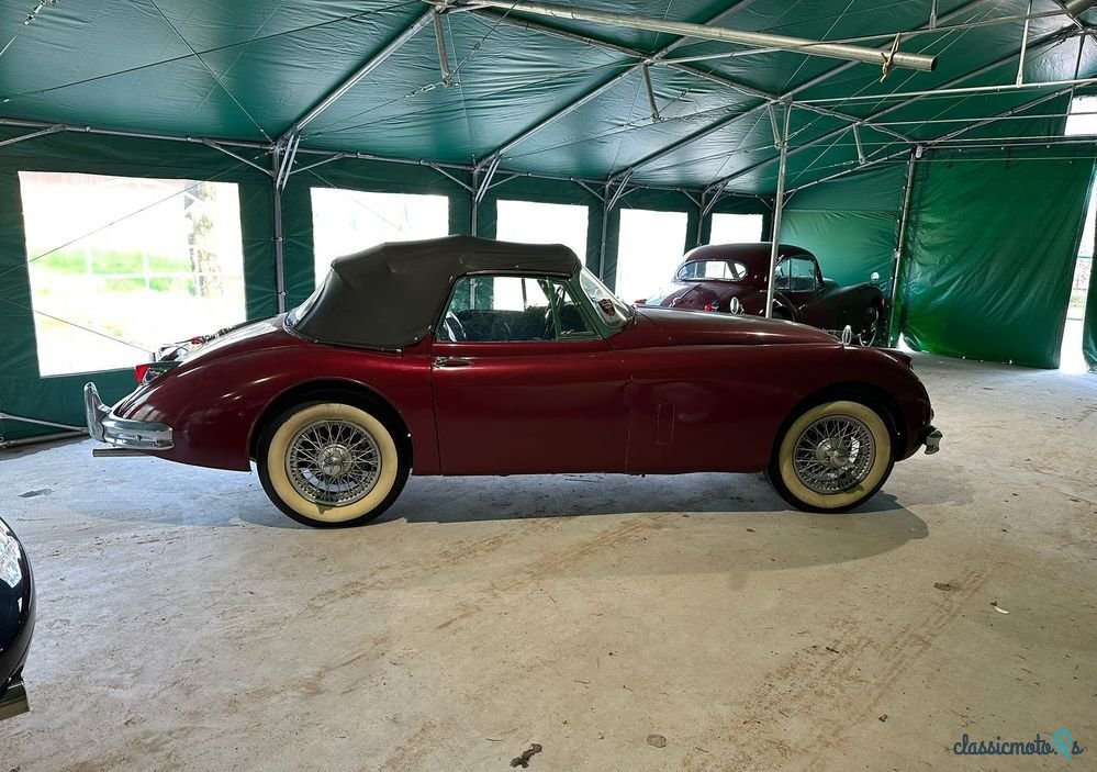 1958' Jaguar XK photo #5