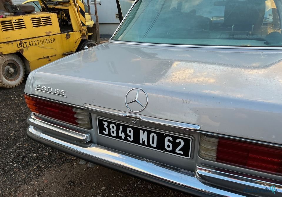 1977' Mercedes-Benz 280 photo #5