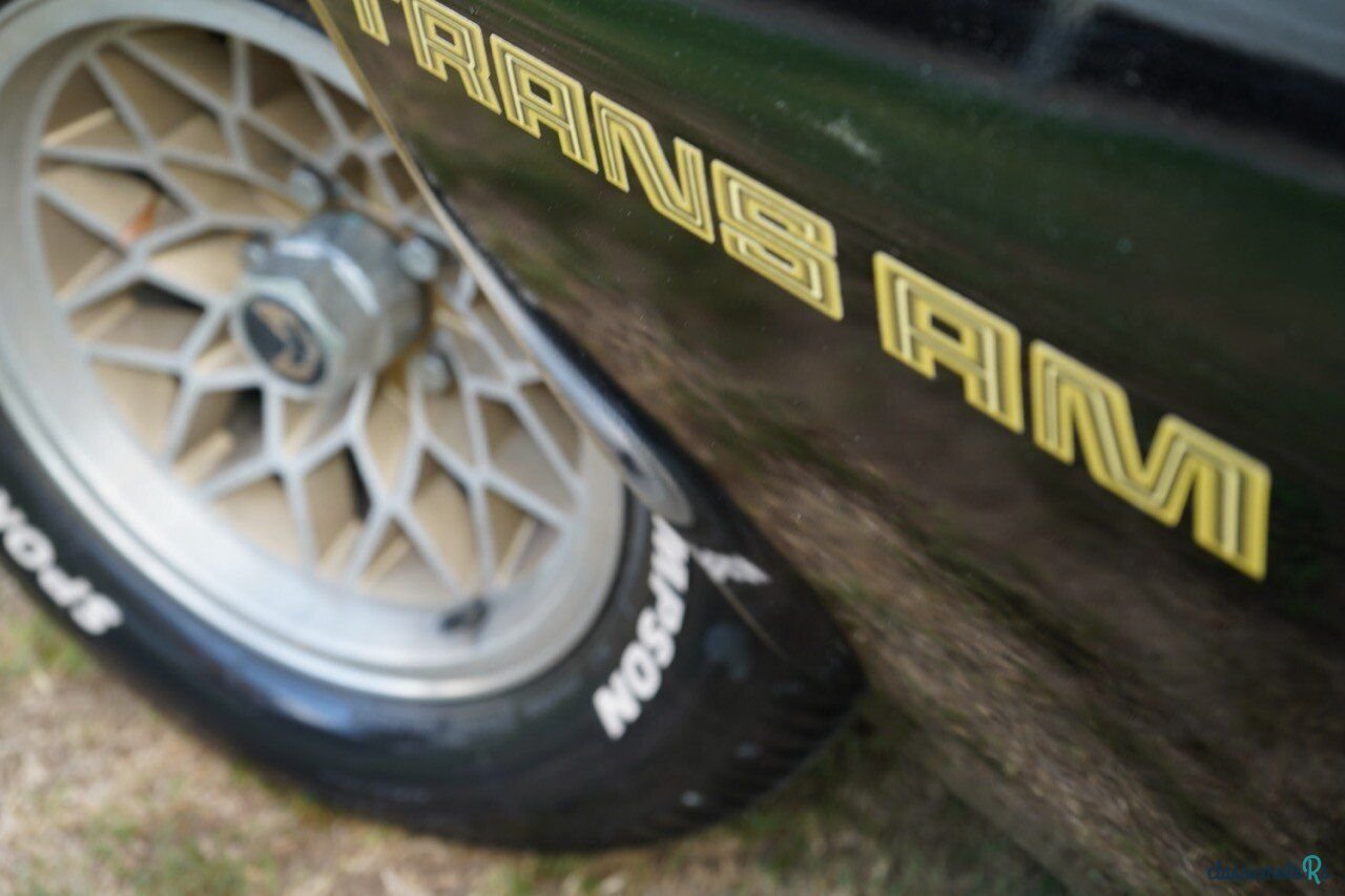 1979' Pontiac Firebird photo #6