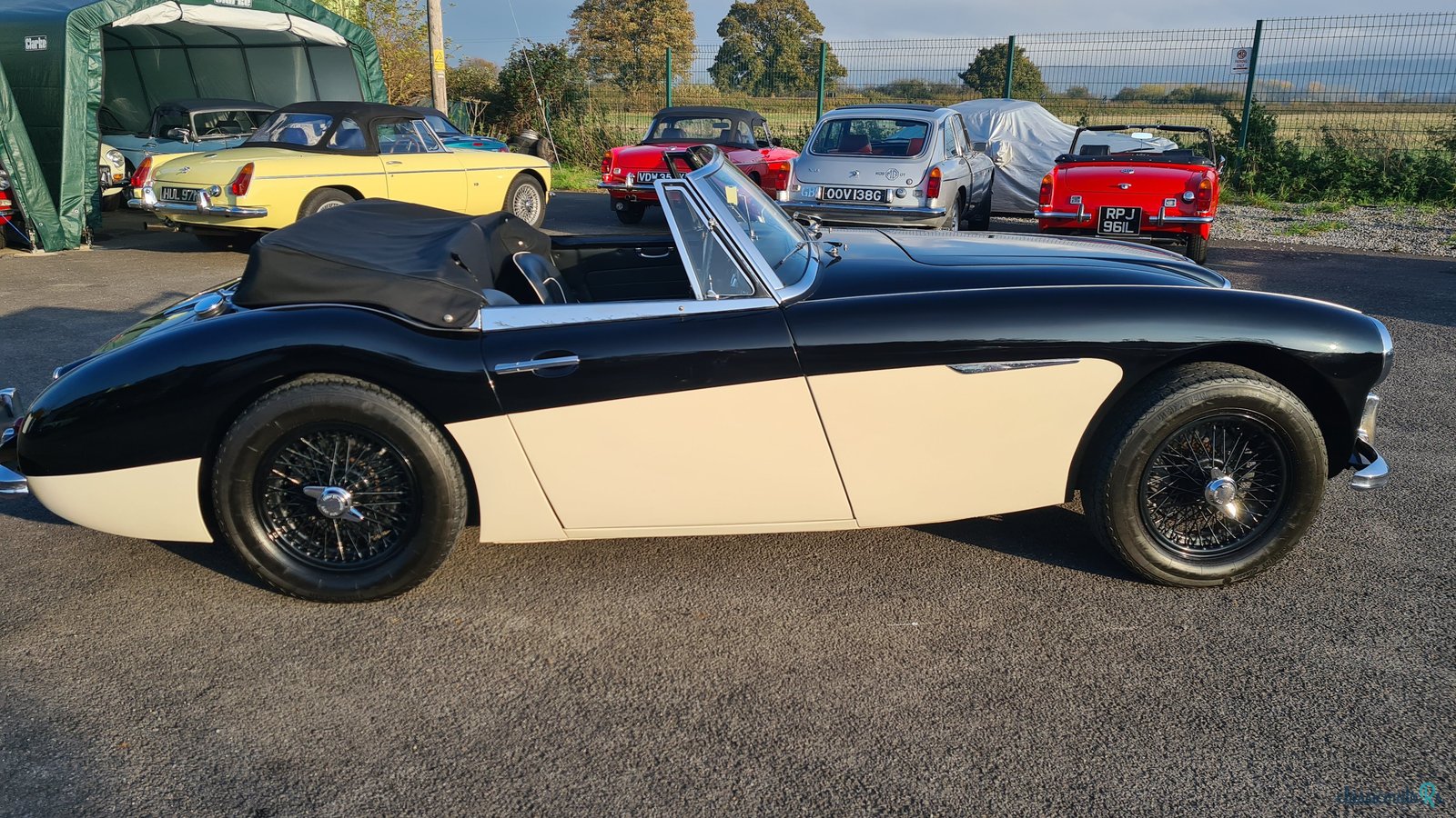 1963' Austin-Healey 3000 photo #4