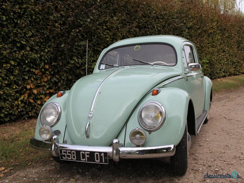 1954' Volkswagen Beetle Ovale photo #1