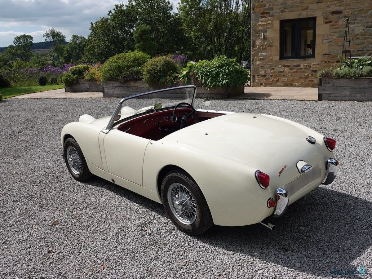 1959' Austin-Healey Sprite photo #4
