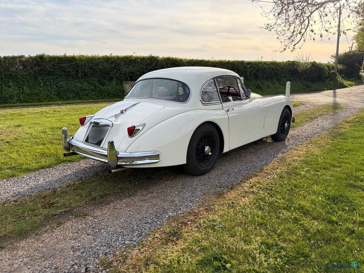 1959' Jaguar Xk150 photo #3
