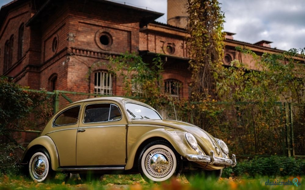 1956' Volkswagen Garbus photo #1