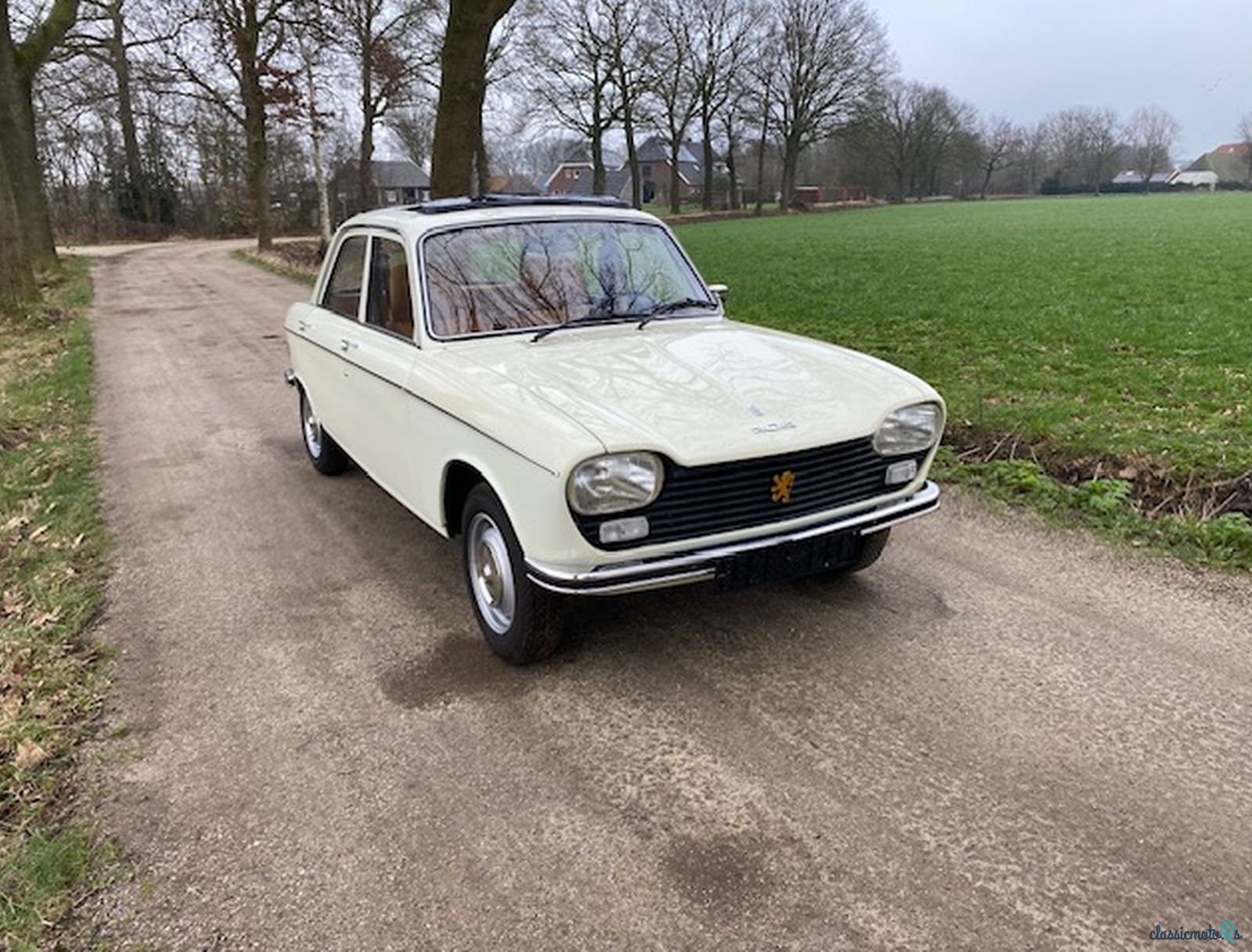 1974' Peugeot 204 Berline photo #1
