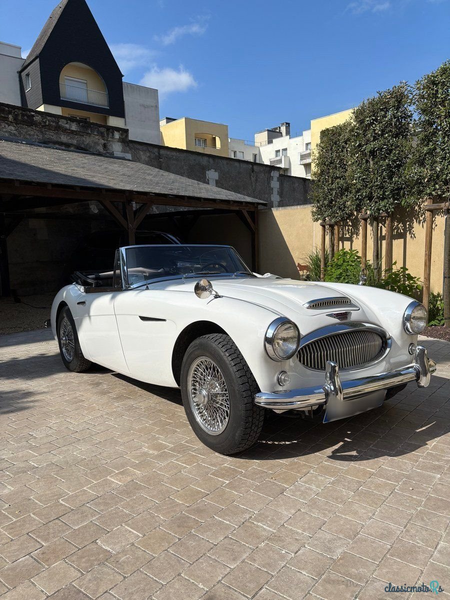 1963' Austin-Healey 3000 photo #1