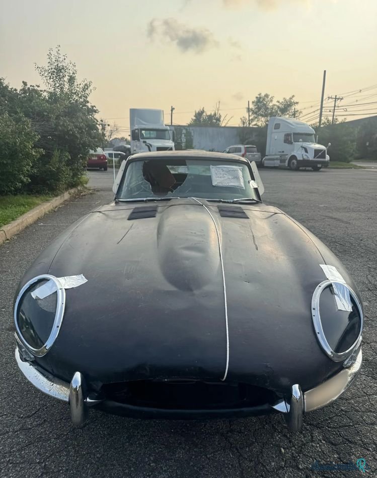 1965' Jaguar E-Type photo #2