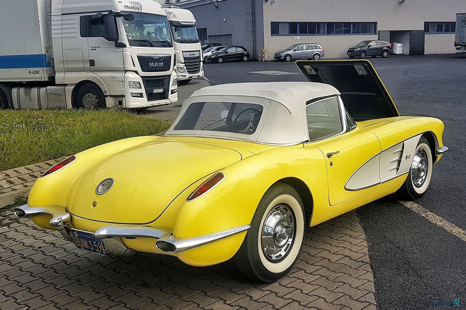 1959' Chevrolet Corvette photo #2