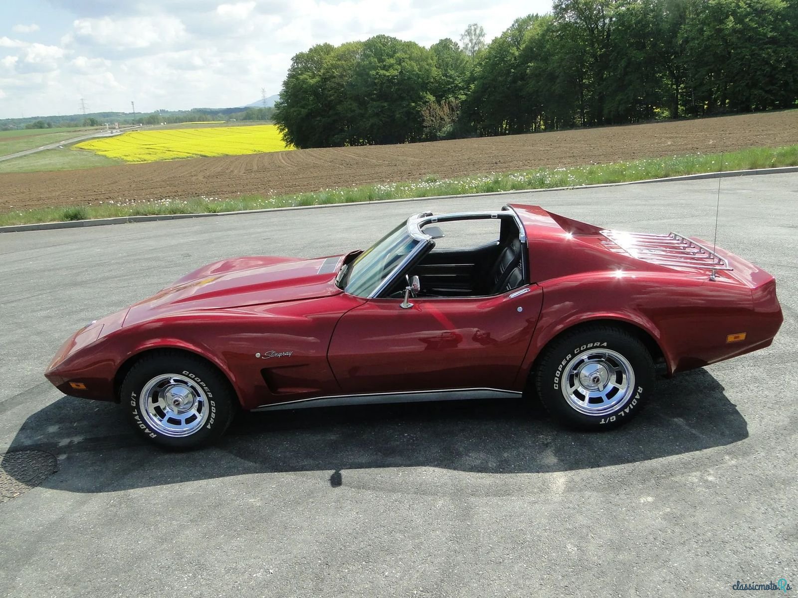 1974' Chevrolet Corvette photo #1