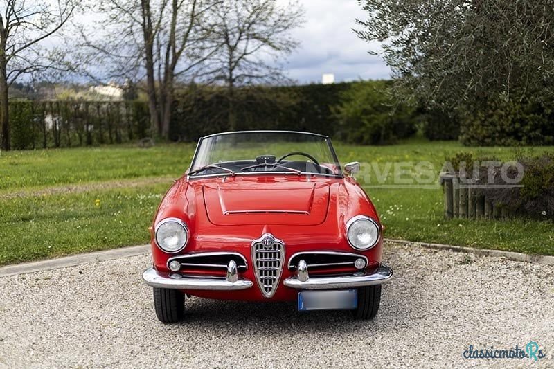 1964' Alfa Romeo Giulia photo #2