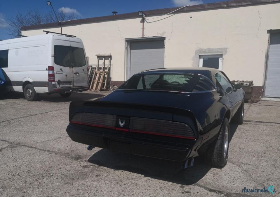 1979' Pontiac Firebird photo #5