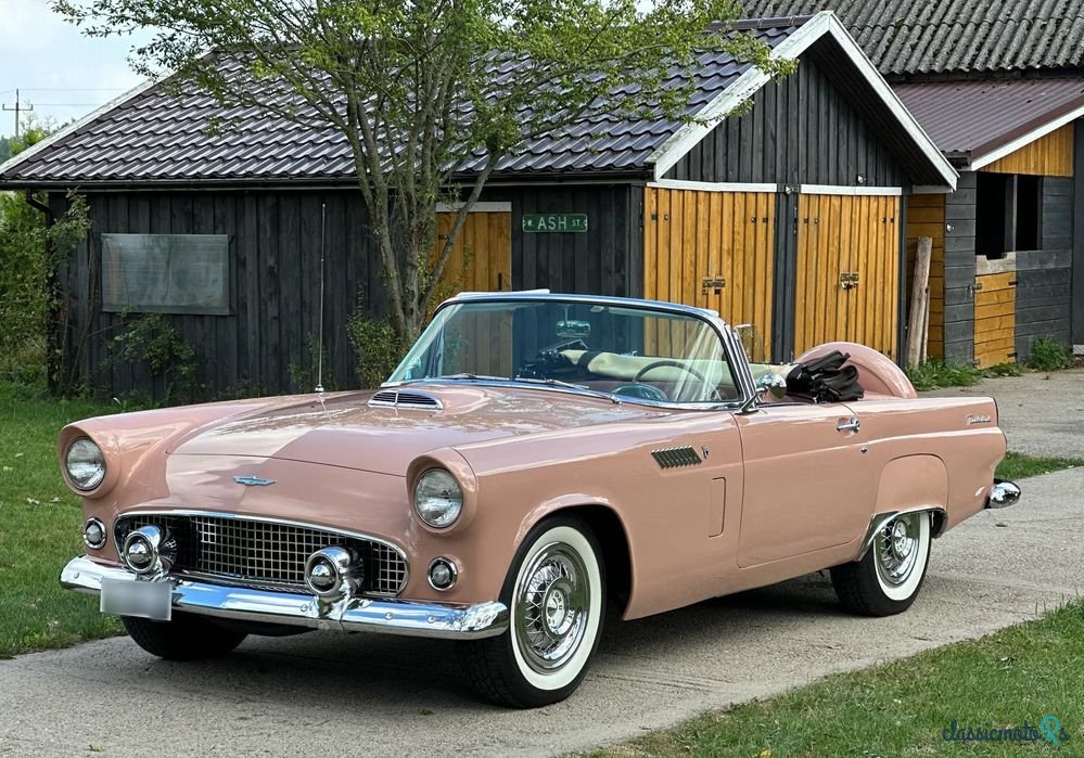 1956' Ford Thunderbird photo #3