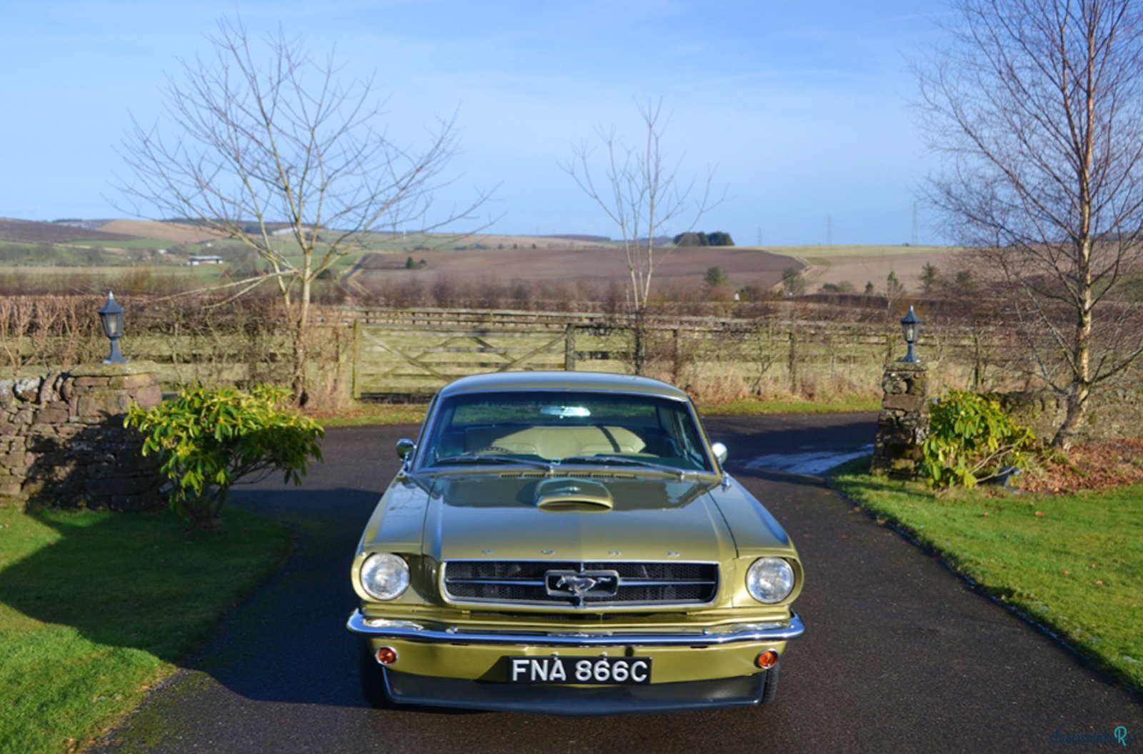 1965' Ford Mustang photo #6