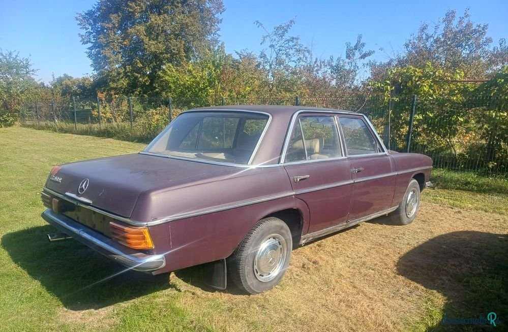 1974' Mercedes-Benz W115 photo #2
