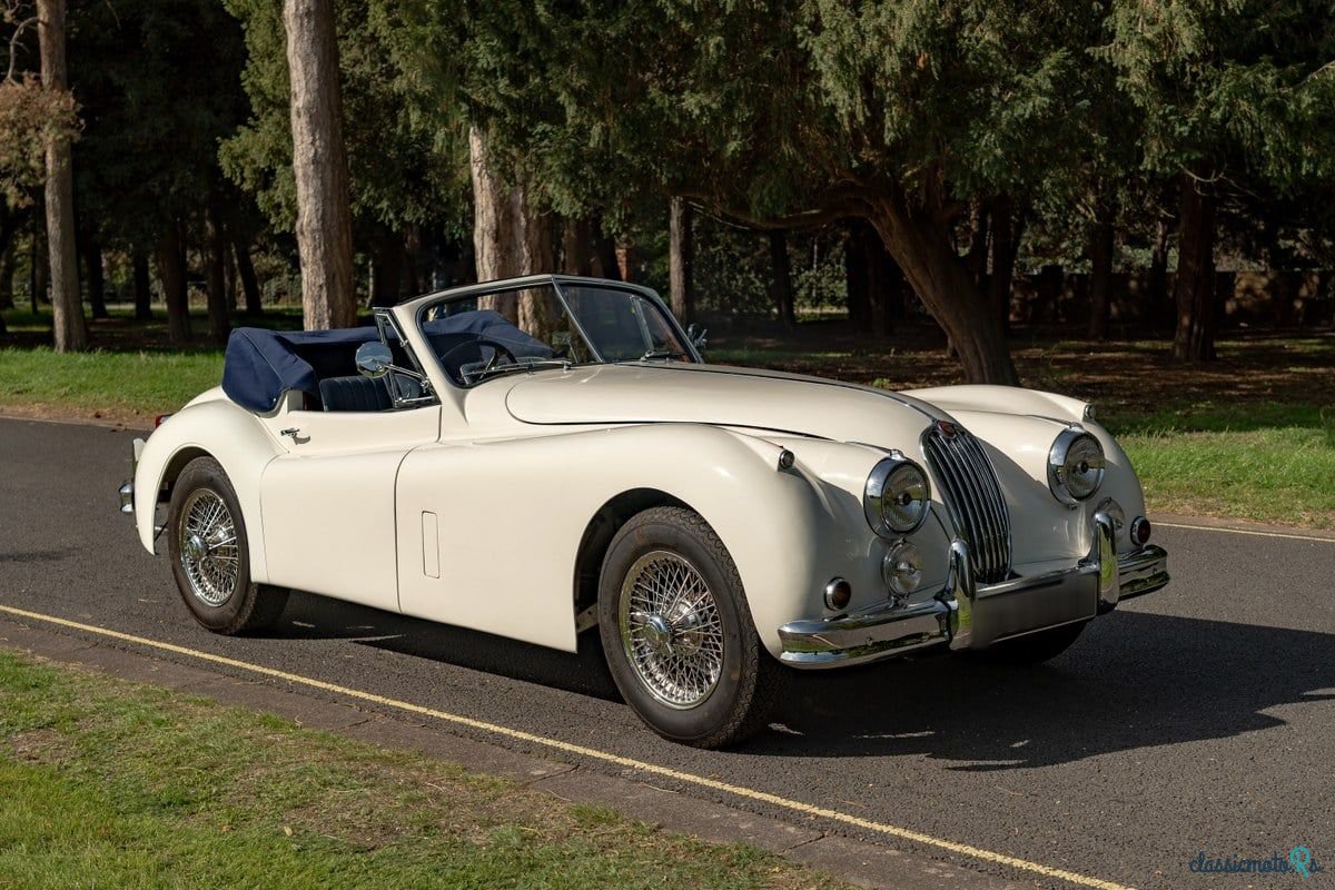 1955' Jaguar C-Type photo #2