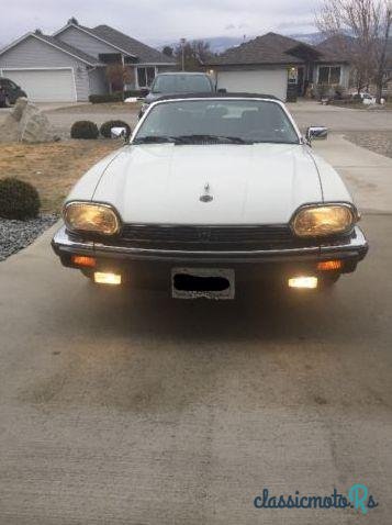 1989' Jaguar XJS photo #5