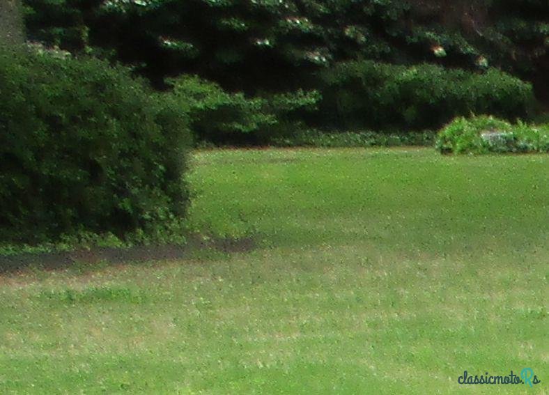 1965' Shelby Cobra photo #4