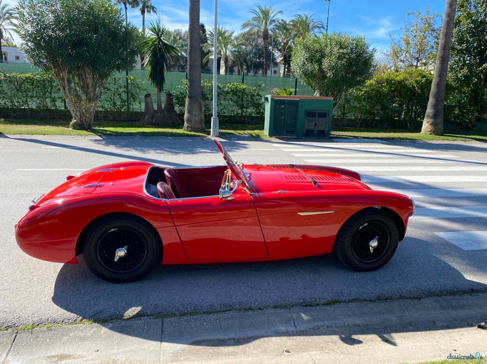 1956' Austin-Healey Bn2 photo #2