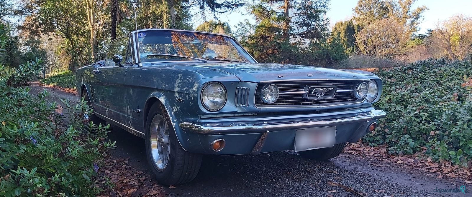 1966' Ford Mustang photo #1