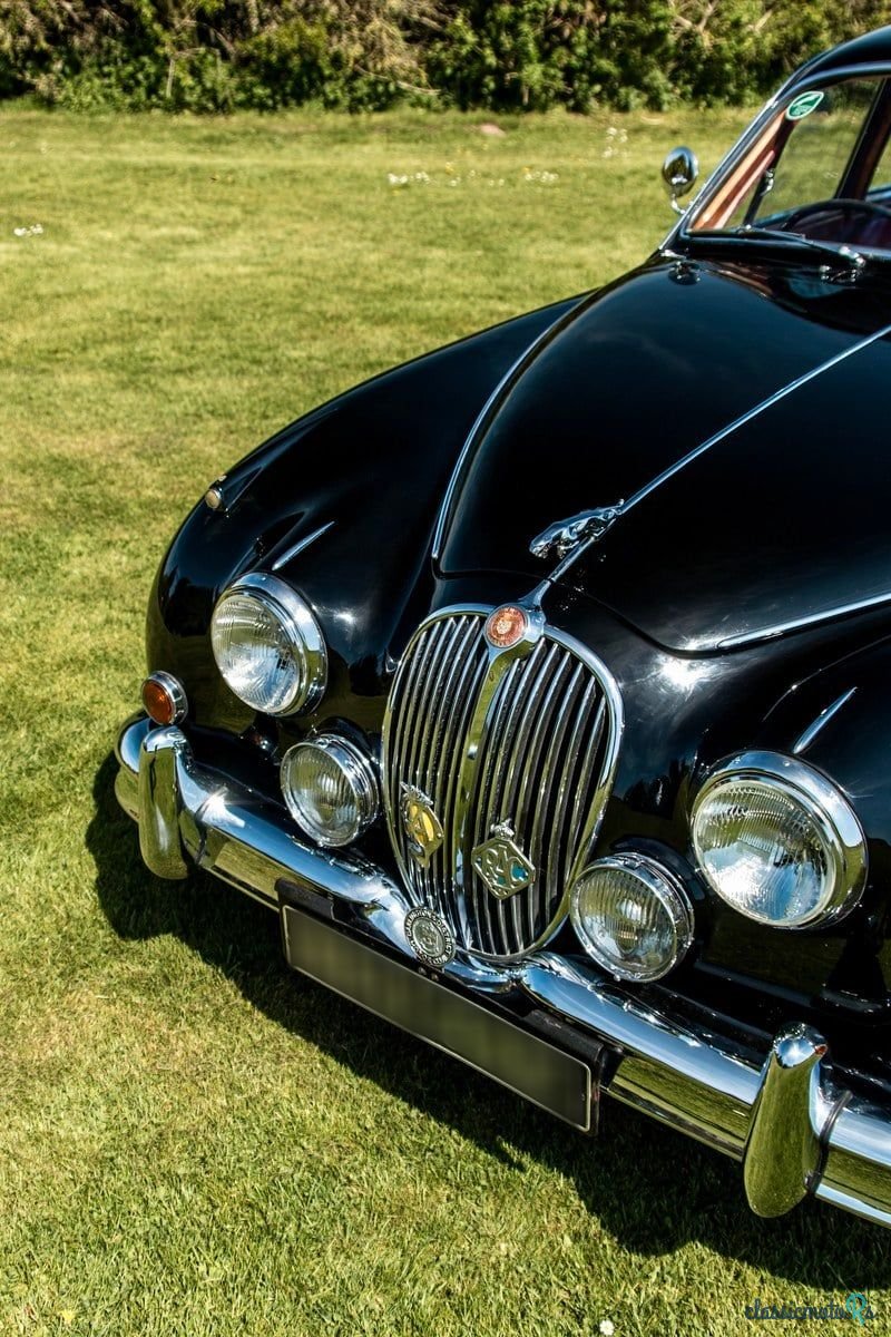 1960' Jaguar Mark II photo #4