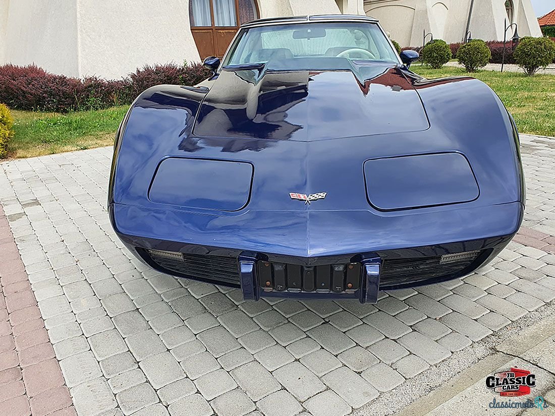 1978' Chevrolet Corvette photo #4
