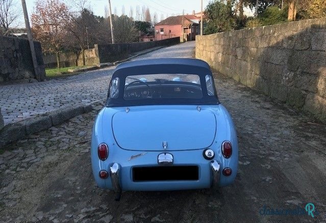 1959' Austin-Healey Sprite photo #4