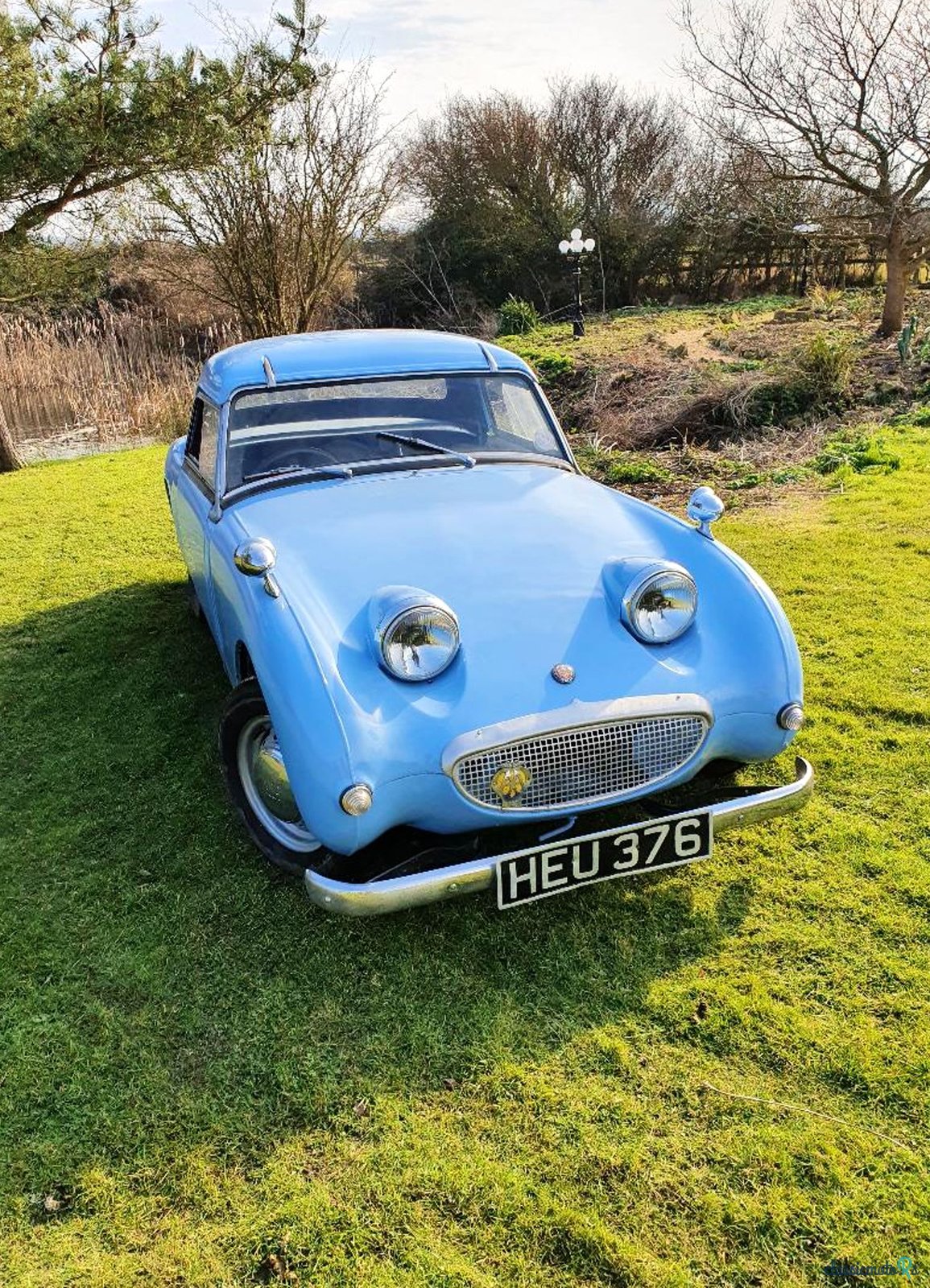 1959' Austin-Healey Sprite photo #2