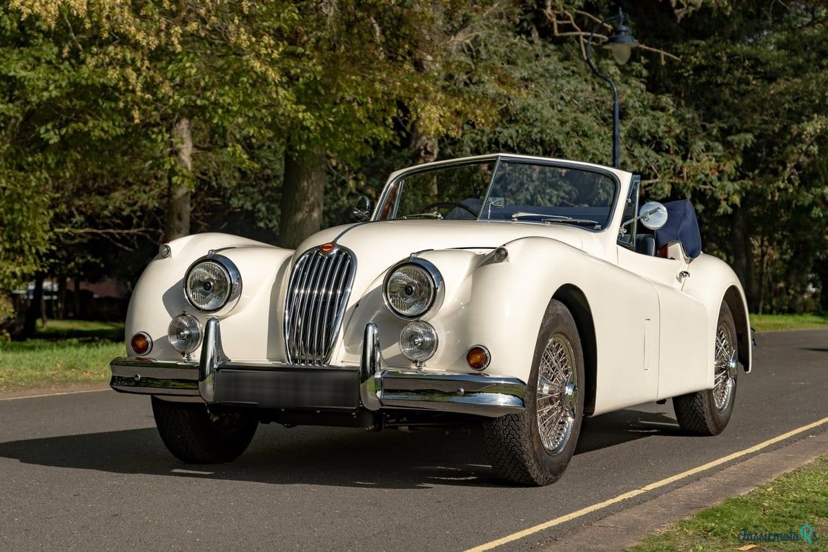 1955' Jaguar C-Type photo #5
