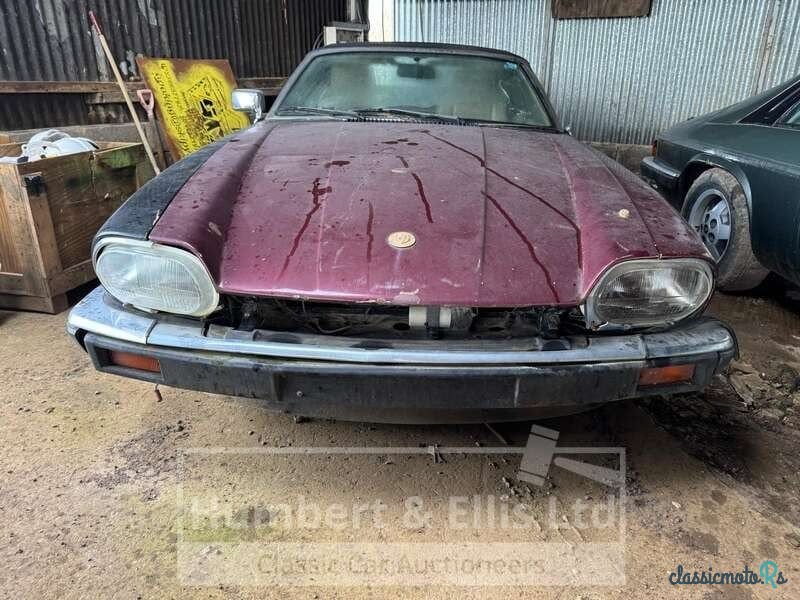 1988' Jaguar XJS photo #4