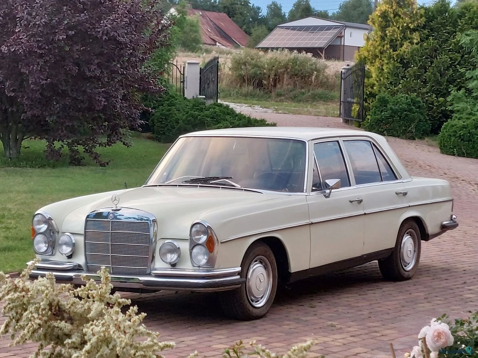 1970' Mercedes-Benz 280 photo #1