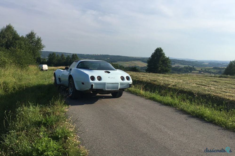 1978' Chevrolet Corvette photo #5