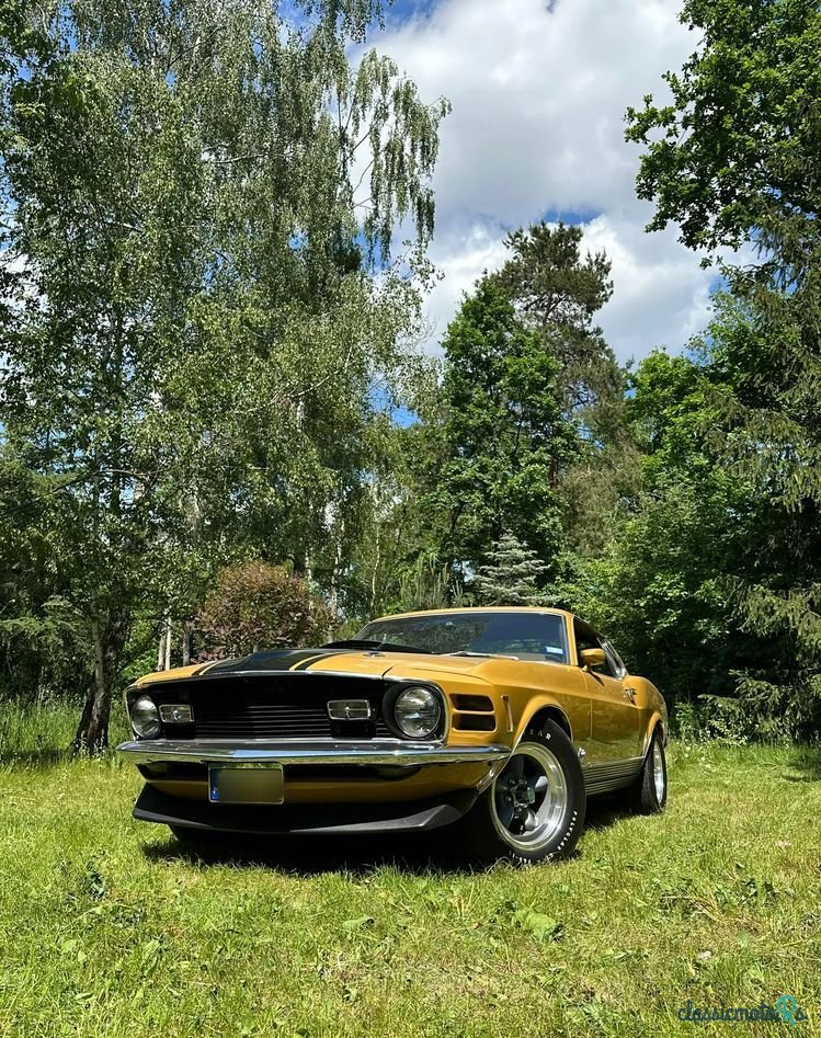 1970' Ford Mustang photo #2