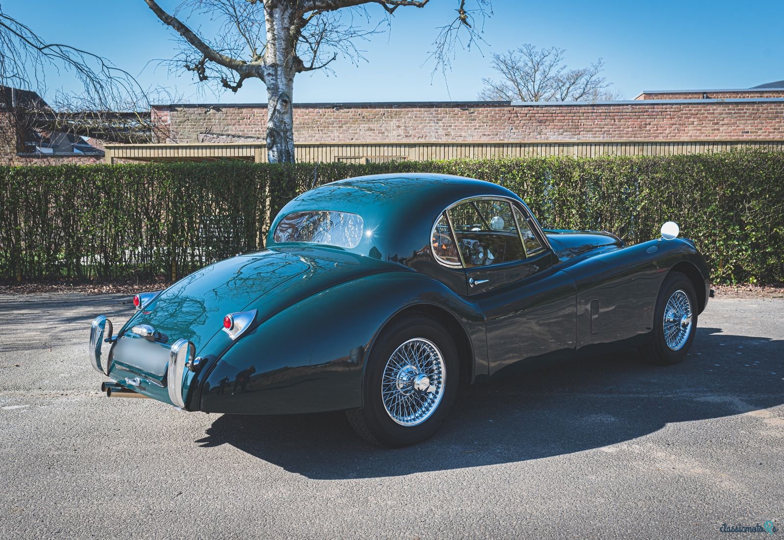 1954' Jaguar Xk120 Fhc photo #5