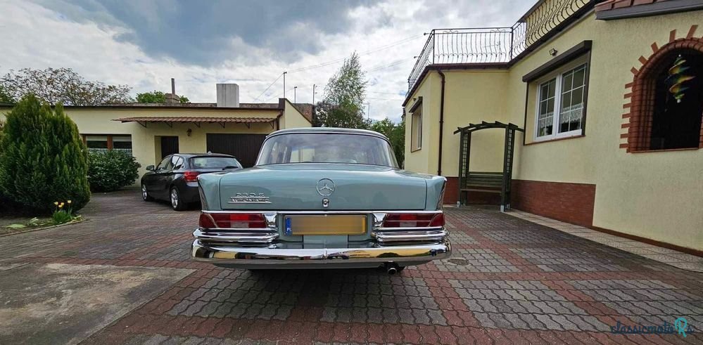 1966' Mercedes-Benz W111 230S photo #5