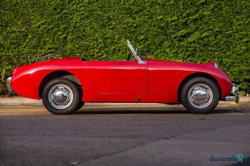 1959' Austin-Healey Sprite photo #5